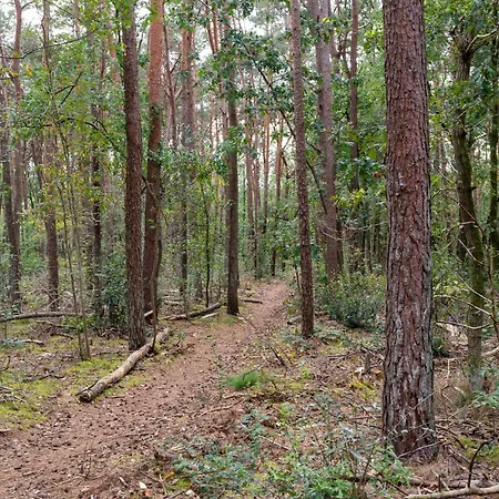 In Gelderland Near Woodlands, Cleaning Included